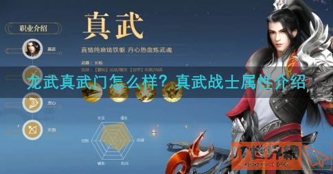 龙武真武门怎么样？真武战士属性介绍