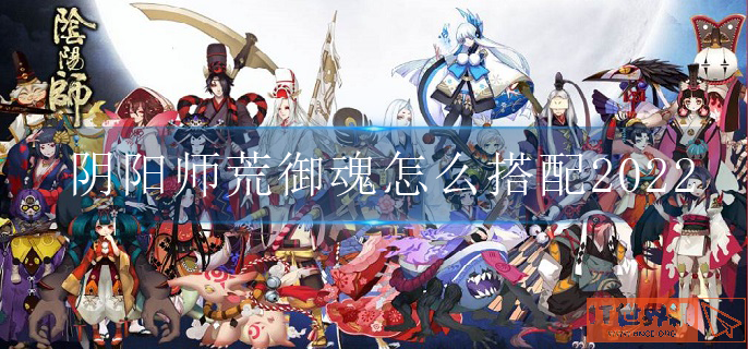 阴阳师荒御魂怎么搭配2022