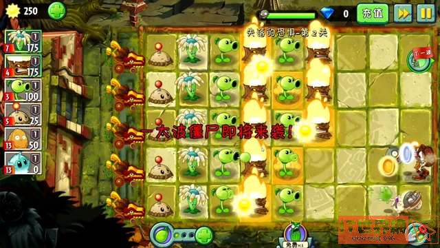 植物大战僵尸 如何处理铁桶僵尸