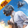 pubg(国际服)地铁逃生模式下载体验服安卓2022 v2.0.0