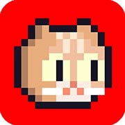 回家的猫