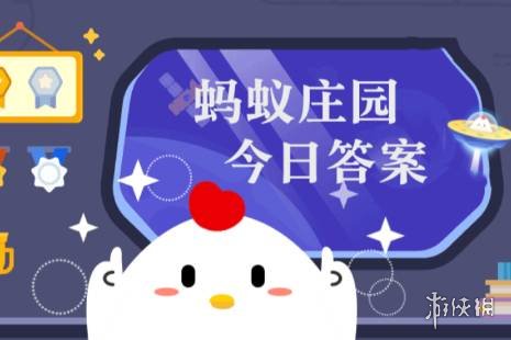 蚂蚁庄园游戏攻略