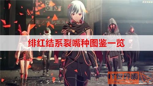 绯红结系裂嘴种有哪些? 裂嘴种图鉴一览