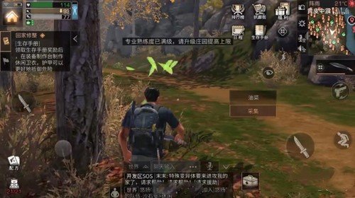 img.jpg游戏攻略