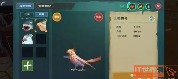 dba4d12928544a2fdfae0a003653edf2.jpg游戏攻略