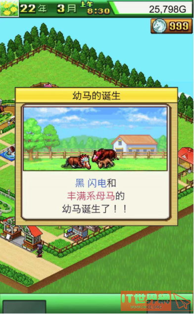 赛马牧场物语如何配种？ 赛马牧场物语配种