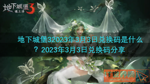 地下城堡32023年3月3日兑换码是什么？2023年3月3日兑换码分享