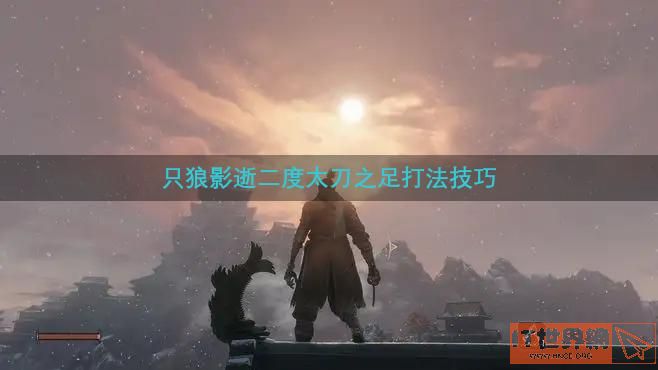只狼影逝二度太刀之足打法技巧