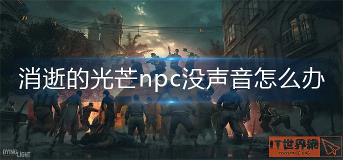 消逝的光芒npc没声音解决攻略