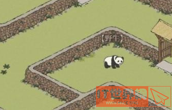 《江南百景图》大熊猫怎么获得