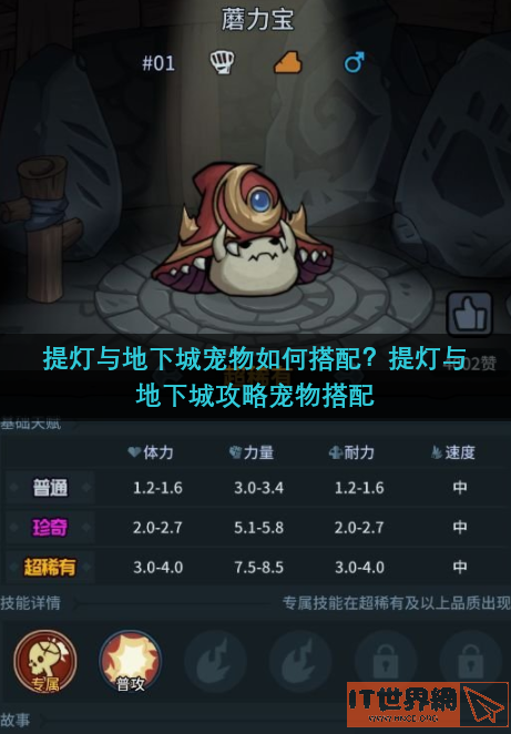 提灯与地下城宠物如何搭配？提灯与地下城攻略宠物搭配