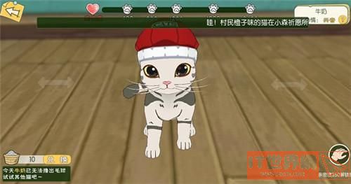 小森生活野猫喂食操技巧 具体操作说明