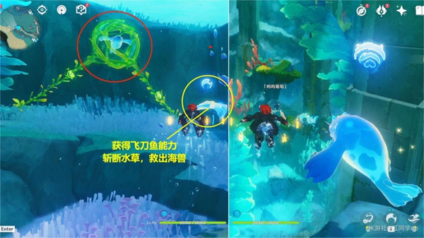 e2978c017b40548b45df.jpg游戏攻略