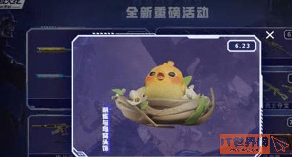 穿越火线手游萌雀孵化日记活动玩法指南