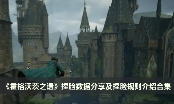《霍格沃茨之遗》捏脸数据分享及捏脸规则介绍合集